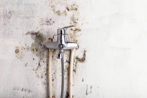 Mold Removal and Inspection in Schenectady, NY