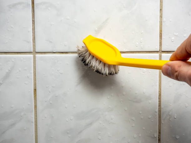 Best Mold Cleaning Services  in Schenectady, NY